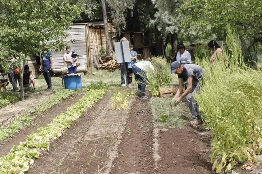 El gran problema para el gobierno es que esas tierras nunca fueron propiedad del Estado Municipal. | Foto archivo