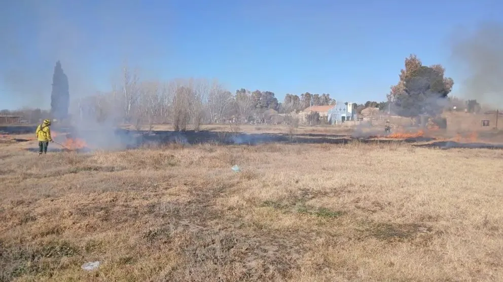Es la cuarta vez en pocos días que bomberos controla el fuego sobre pastos en un descampado de la calle Borgatti. (Foto gentileza)