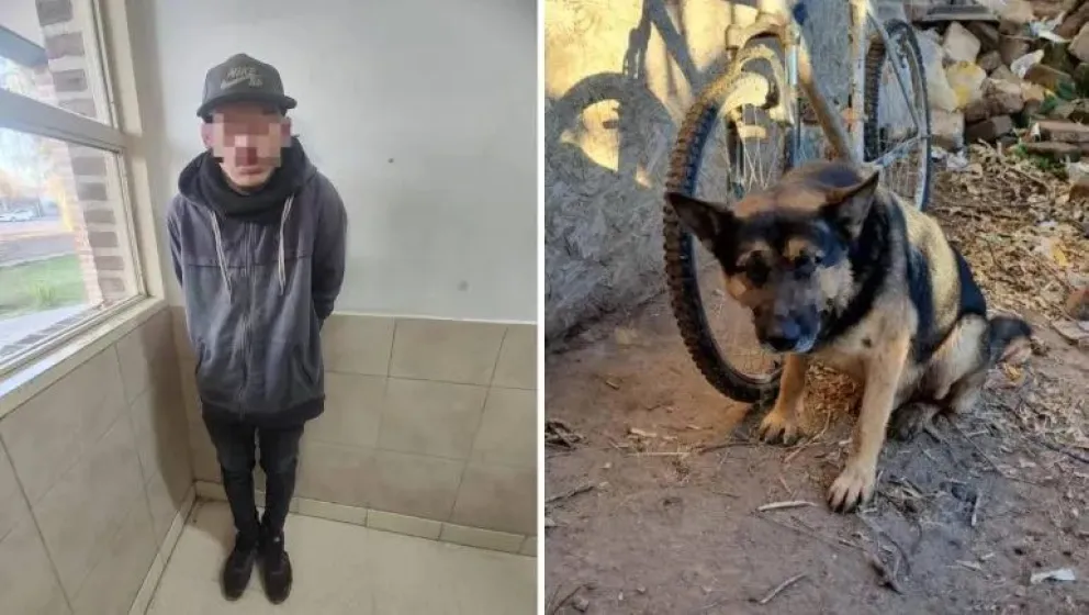 El sujeto utilizó a su perro, un ovejero alemán, como "campana". Fue detenido y se le formularon cargos. Foto: gentileza Centenario Digital.