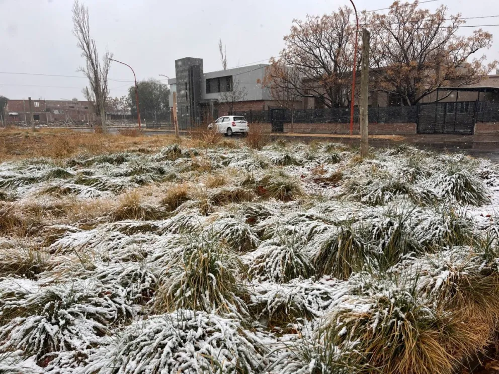 La nieve parece alejarse de la zona, sin embargo dejó las mejores fotos. (Foto Cipo360)