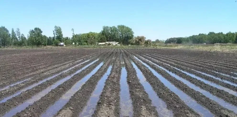 El Idevi presenta en la actualidad un total de 22.747 hectáreas bajo producción