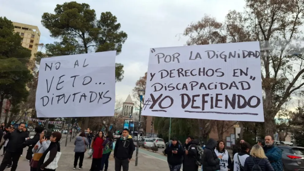 La ley vetada por Javier Milei declaraba la emergencia nacional en discapacidad hasta fines de 2027 (imagen CIPO360)