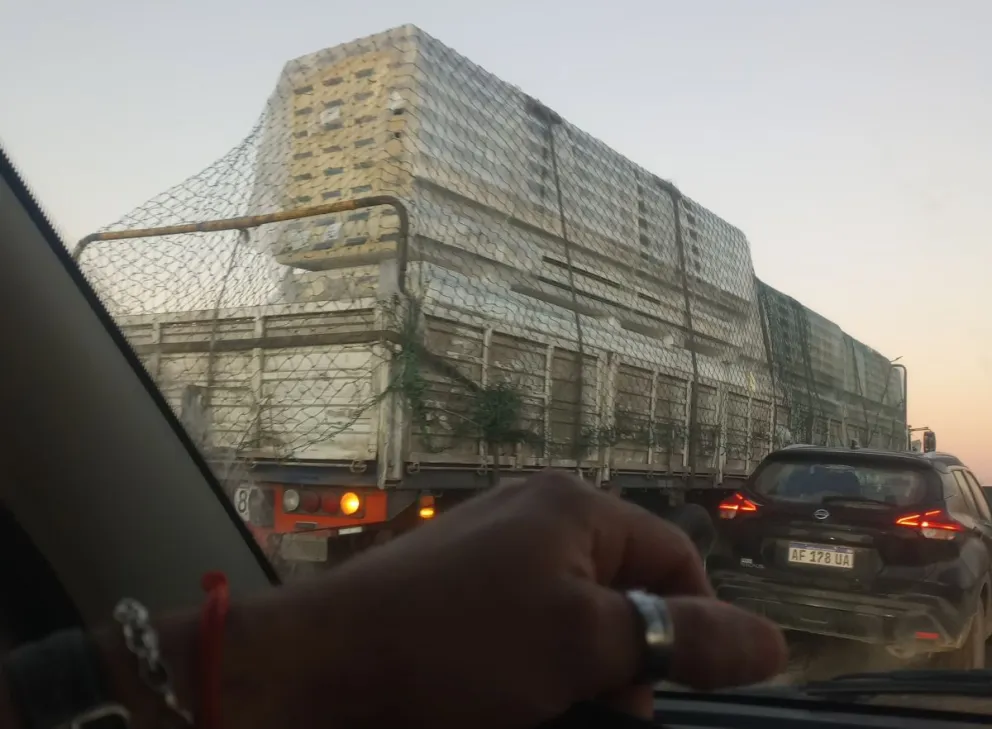 El camión quedó parado, invadiendo parte de la ruta nacional 22. Foto: gentileza LU19. 