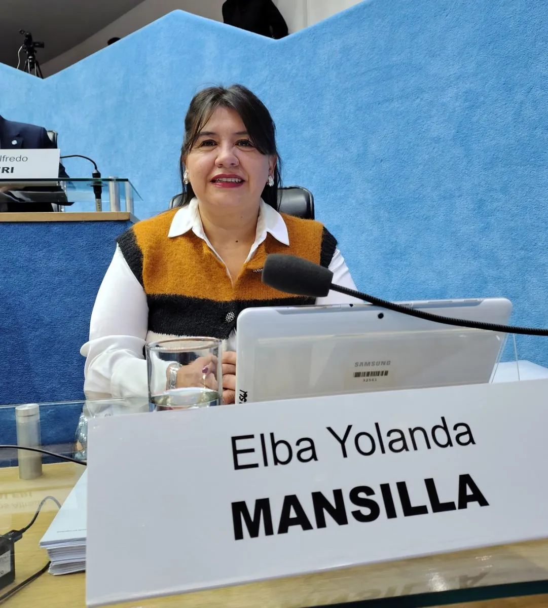 fabian mansilla