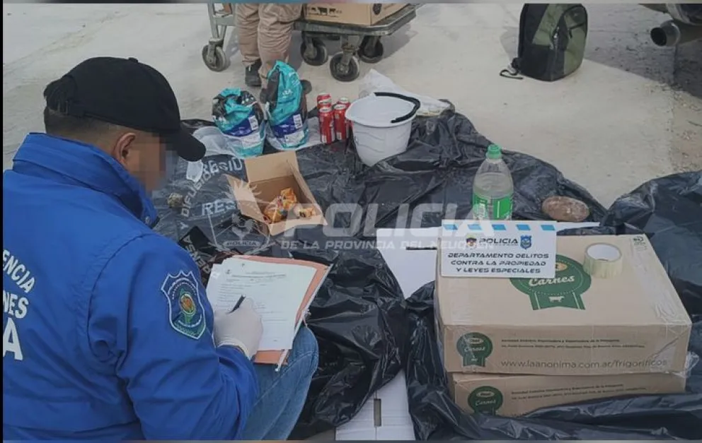Los responsables del robo fueron sorprendidos en plena maniobra. Se llevaban mercaderías por más de 2,5 millones de pesos. Foto: Policía de Neuquén.