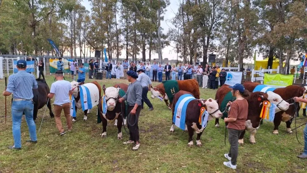 La exposición tiene como objetivo la participación de la comunidad en diversas actividades. 