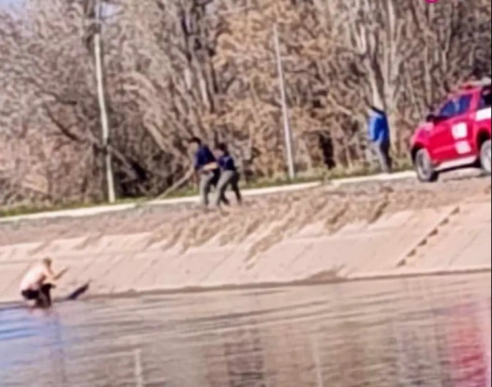 Los bomberos de Cinco Saltos lograron rescatar al perrito que había caído al Canal. Foto: gentileza.