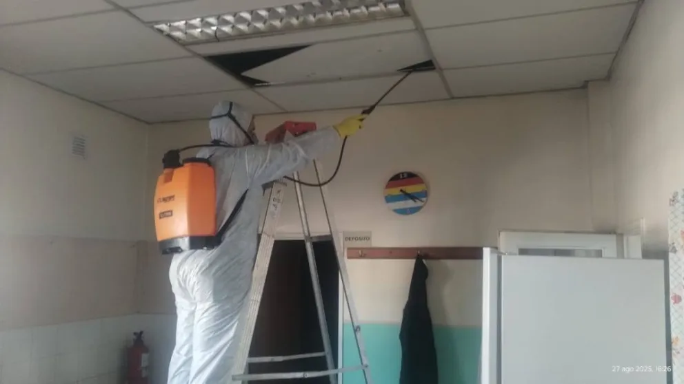 Unter había expresado que los bichos estaban en los entretechos y termotanques. (Foto Consejo Escolar)