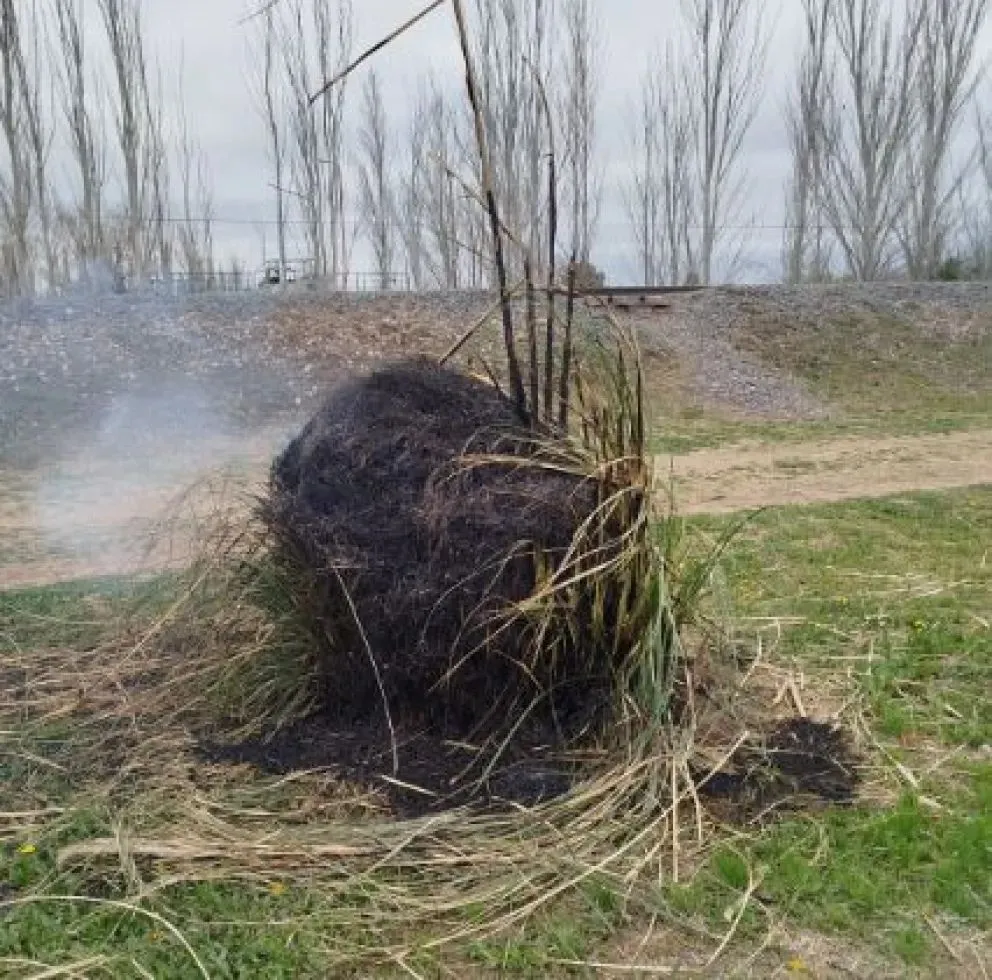 En ese mismo sector también han robado la bomba en otras oportunidades dejando sin riego todo ese sector. | Foto gentileza