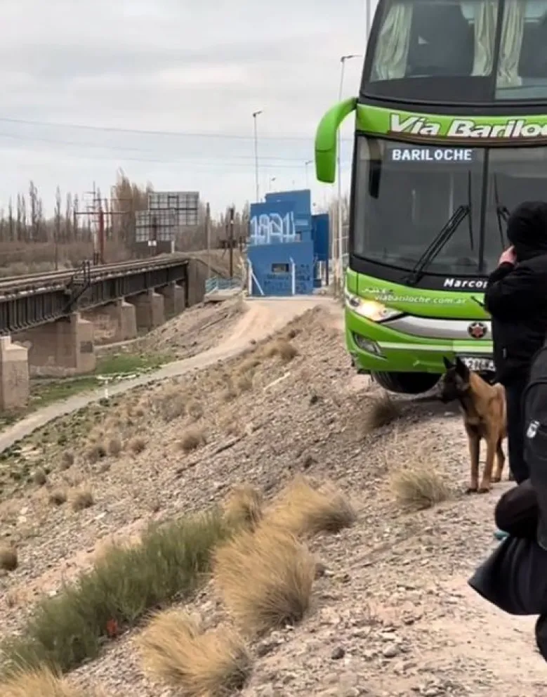 El video muestra cómo una de las ruedas quedó en equilibrio en el aire. (Foto gentileza)