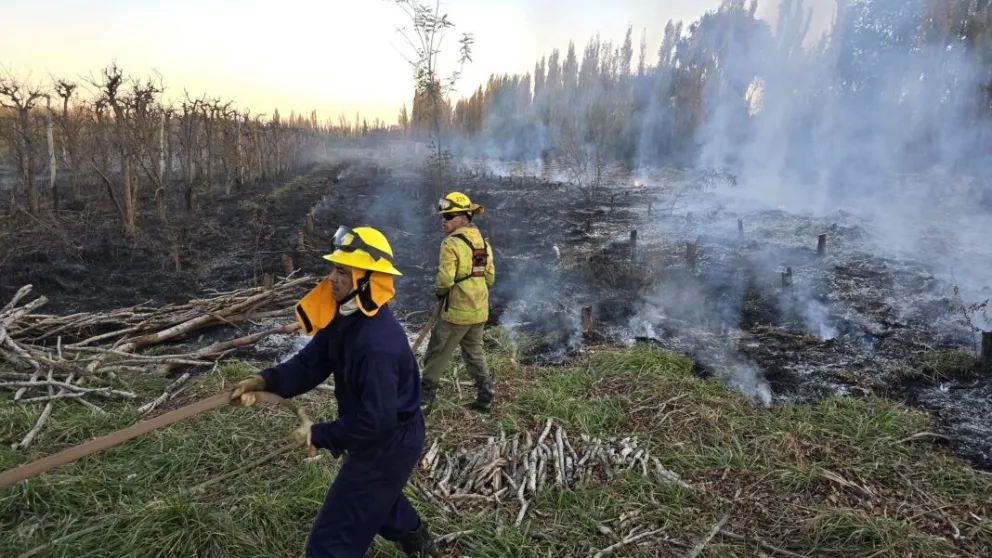 Solicitan colaboraron con los Bomberos para facilitar su trabajo. (Foto archivo)