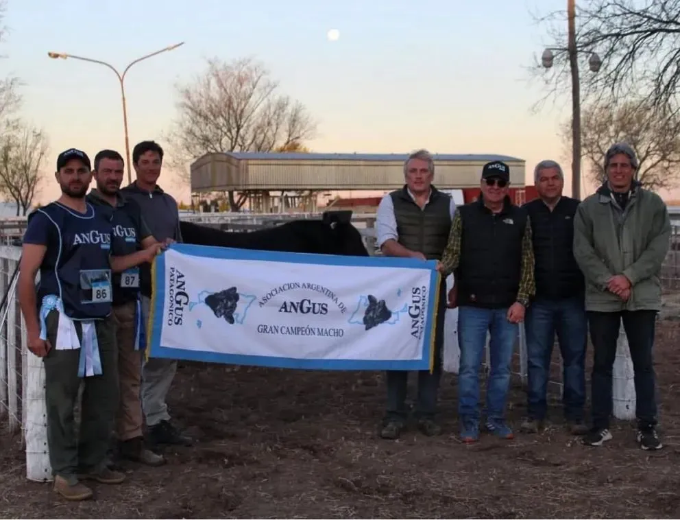 Cabaña Don Juan: Con fuerte presencia en las principales exposiciones rurales de la región. | Foto redes sociales