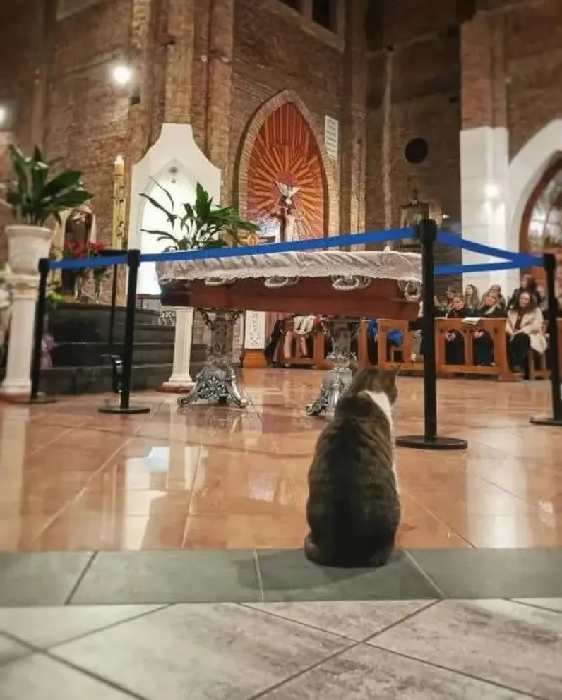 Pascual despidiendo a su dueño en la Catedral. (Foto gentileza)