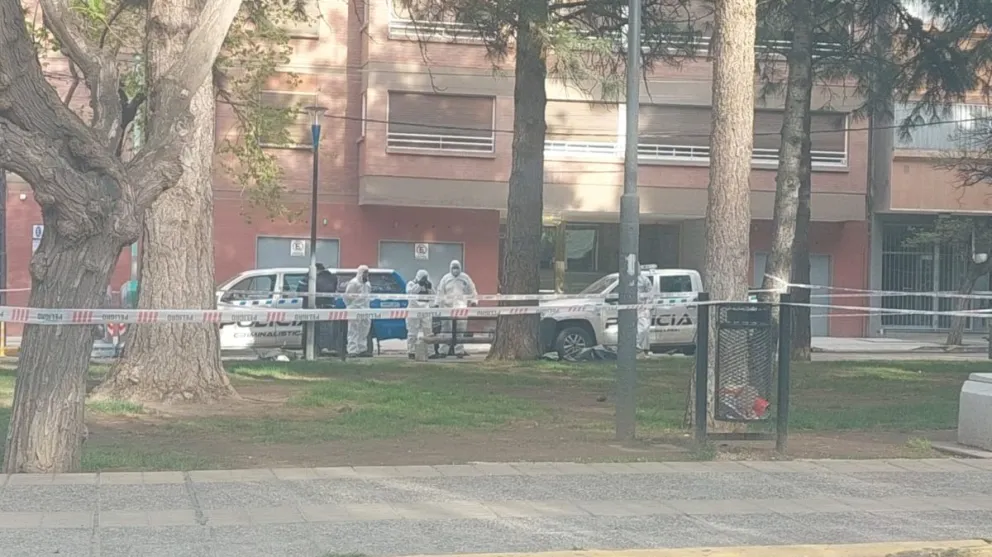 Se realizará autopsia para conocer la causa de muerte. (Foto LU19)