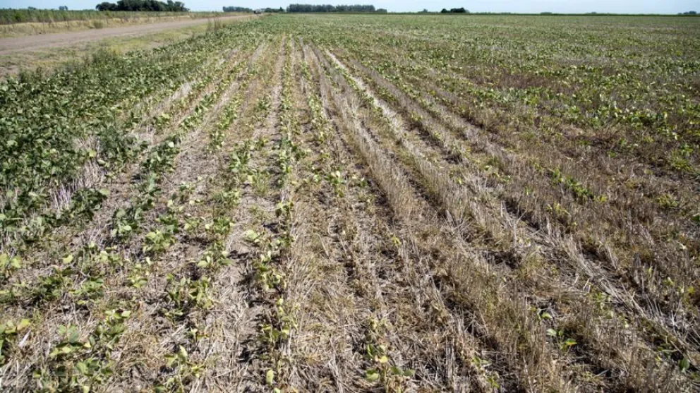 La Universidad colabora con la provincia brindando ideas y propuestas. 