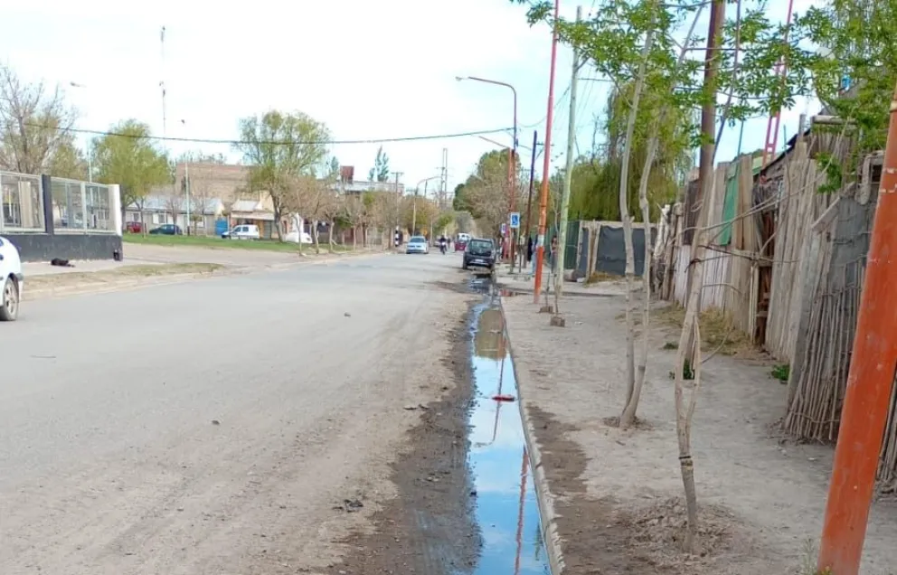 Los vecinos denuncian que las aguas servidas son un reservorio para plagas de insectos, como mosquitos, jejenes y moscas. Foto: gentileza.