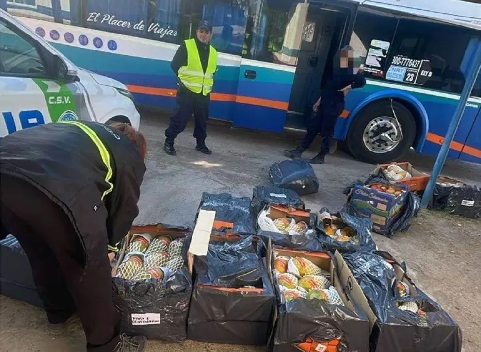 Las cajas con frutas tropicales era transportada en la cabina del ómnibus que viajaba hacia Neuquén. (Foto gentileza)