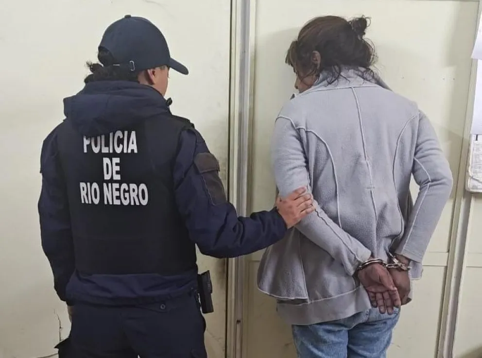 La mujer tiene un amplio prontuario en todas las unidades policiales de la ciudad, por robos y hurtos. Foto: Policía Río Negro.