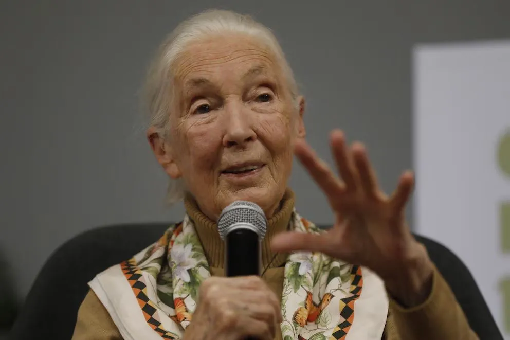 Jane Goodall tenía 91 años. 