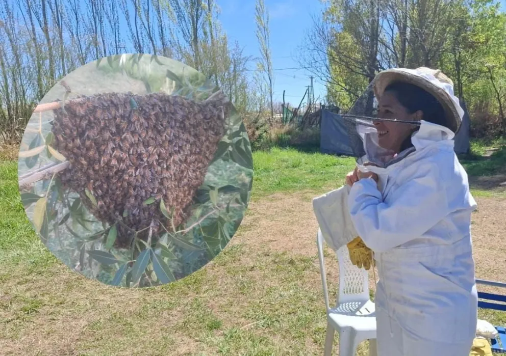 María Ines gonzalez dueña del lugar donde apareció el panal de abejas en Cipolletti. | Foto Cipo360