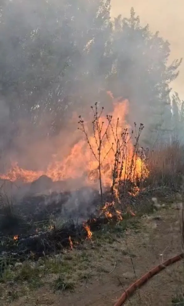 El fuego podría haber afectado a quienes disfrutaban de la mañana en el paseo. (Foto gentileza)