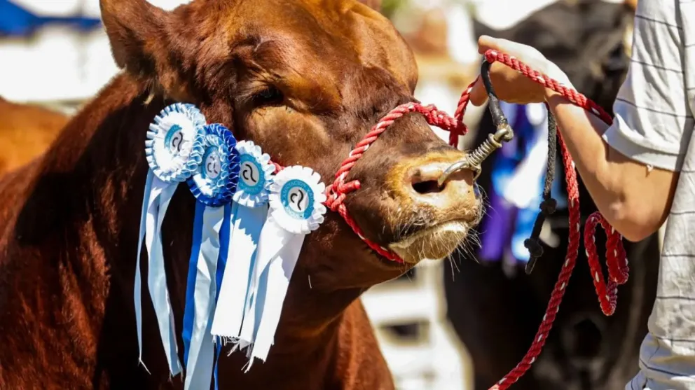 Foto: Gobierno de Río Negro.