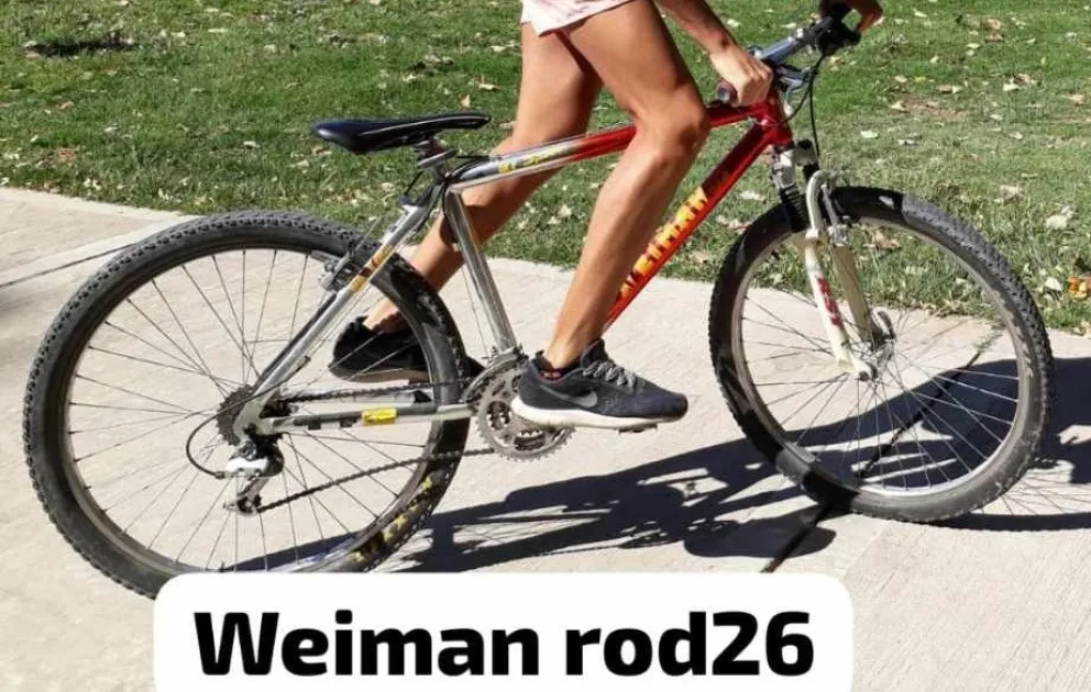 Una familia del barrio San Lorenzo sufrió el robo de ocho bicicletas. | Foto redes sociales