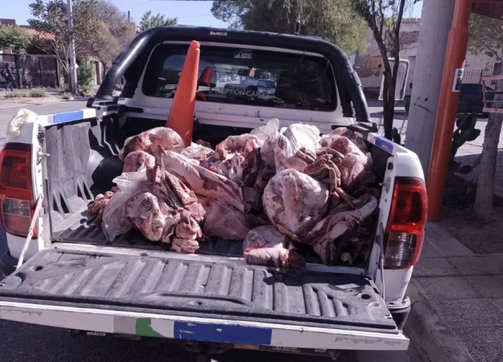 Los inspectores detectaron numerosas infracciones al Código Alimentario Argentino, como transporte en vehículos no habilitados. Foto: Policía Río Negro.