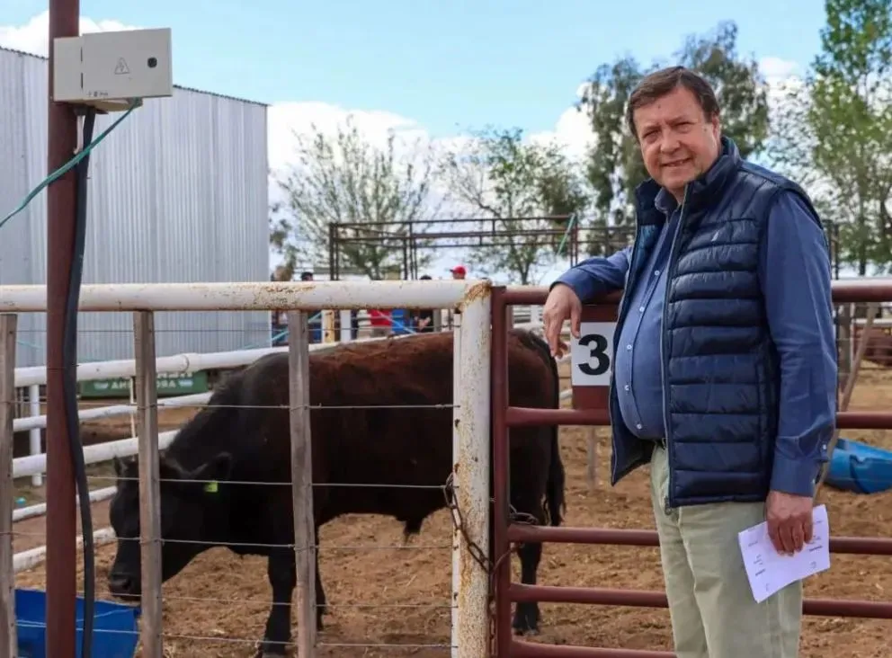 El gobernador Alberto Weretilneck encabezó la 14°  Expo Rural y Feria de Invernada del Alto Valle. (Foto: Tania Domenicucci)