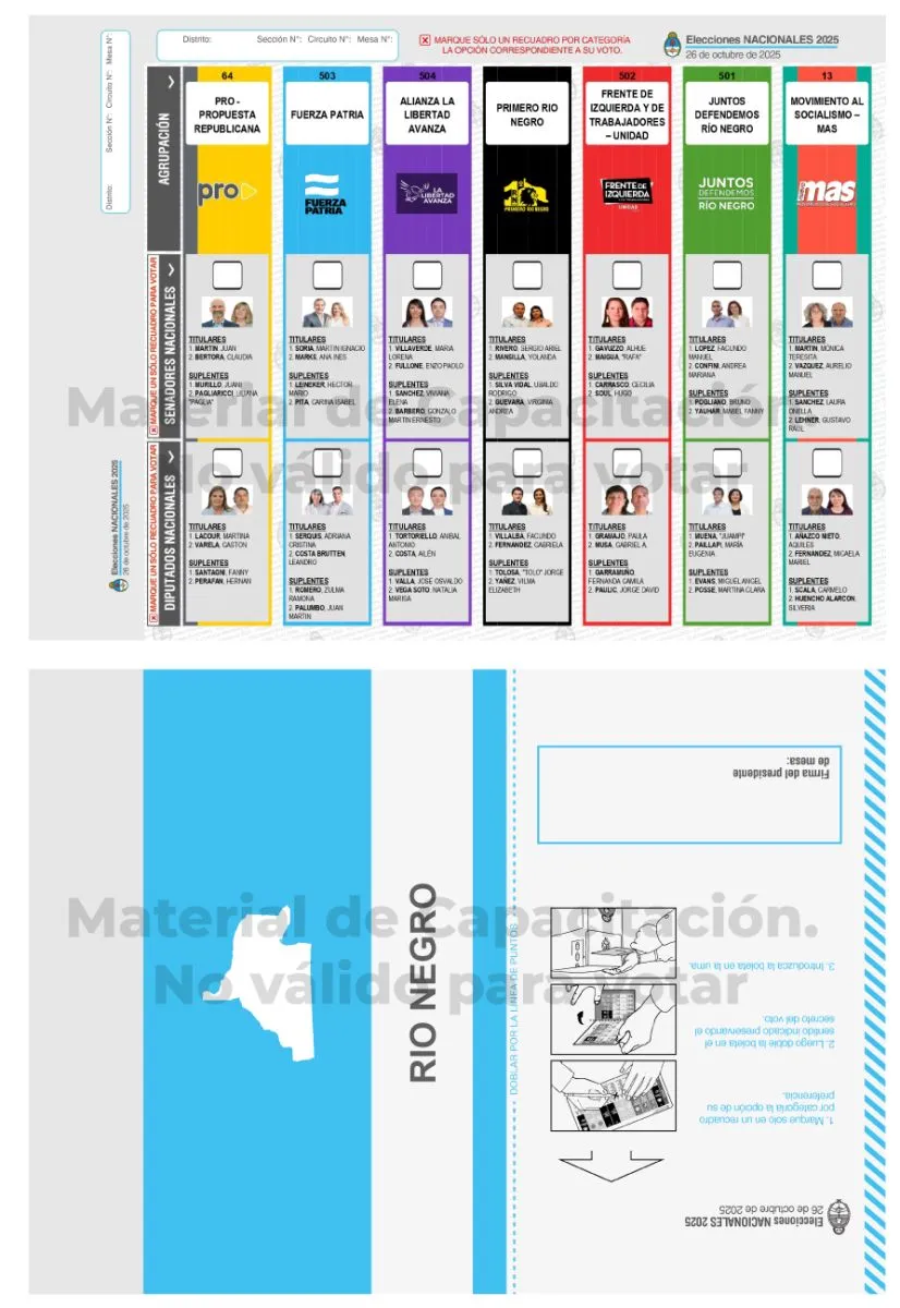 boleta unica en Rio Negro