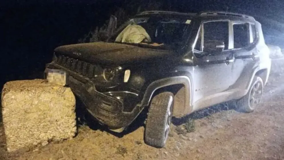 La camioneta apareció durante la madrugada, en el Parque Victoria de Vista Alegre. Se había estrellado contra una de las defensas del puente. Foto: gentileza Catriel25 Noticias.