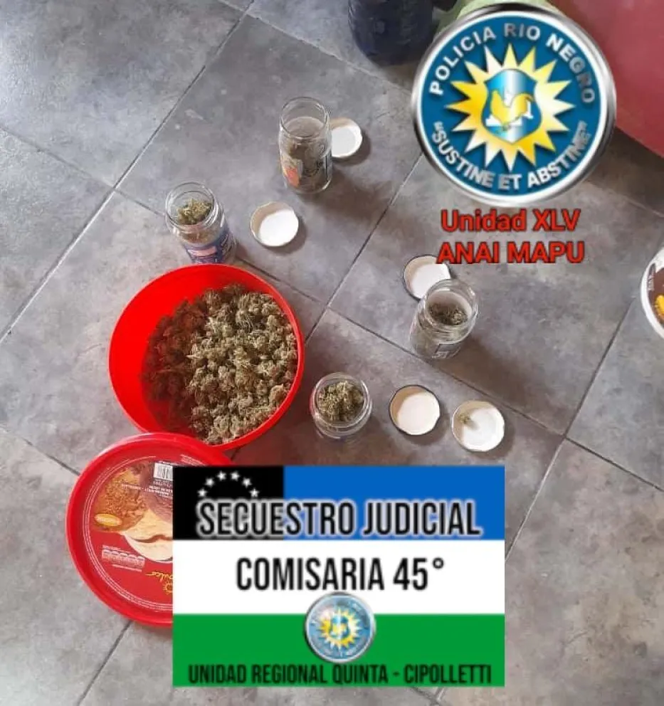 El propietario no contaba con permiso para la tenencia de cannabis. Foto: Policía de Río Negro.