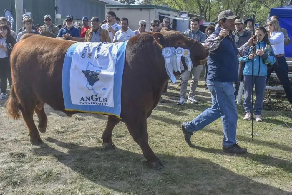 A pesar de la sequía y el impacto de la flexibilización de la barrera sanitaria. | Foto gentileza