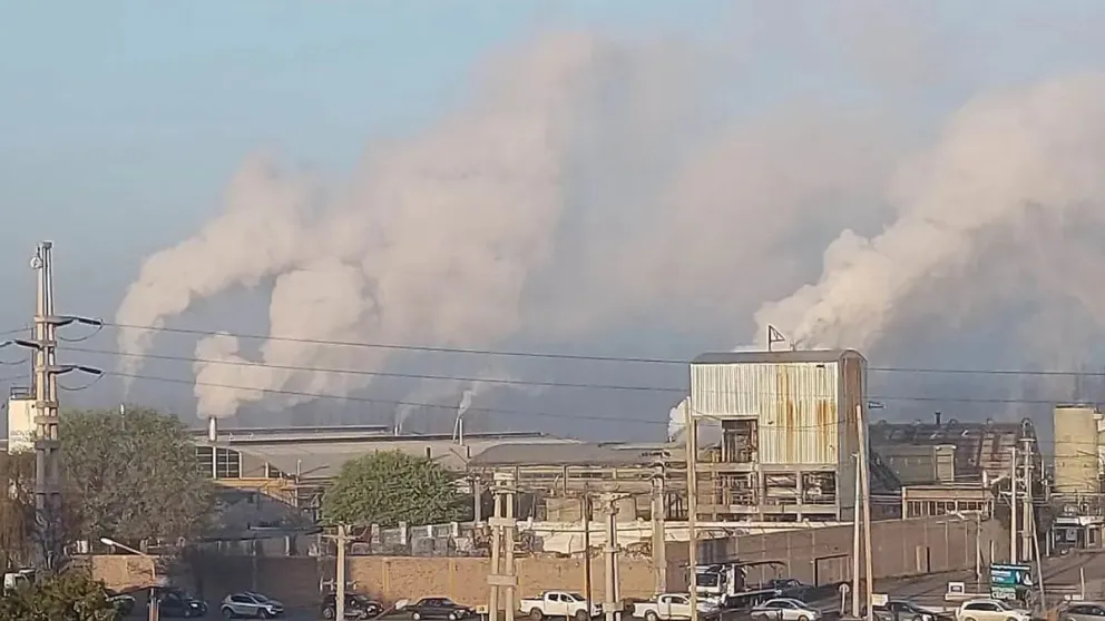 Celulosa Alto Valle deberá además normalizar el vertido de efluentes para no recibir nuevas sanciones. Foto: archivo.