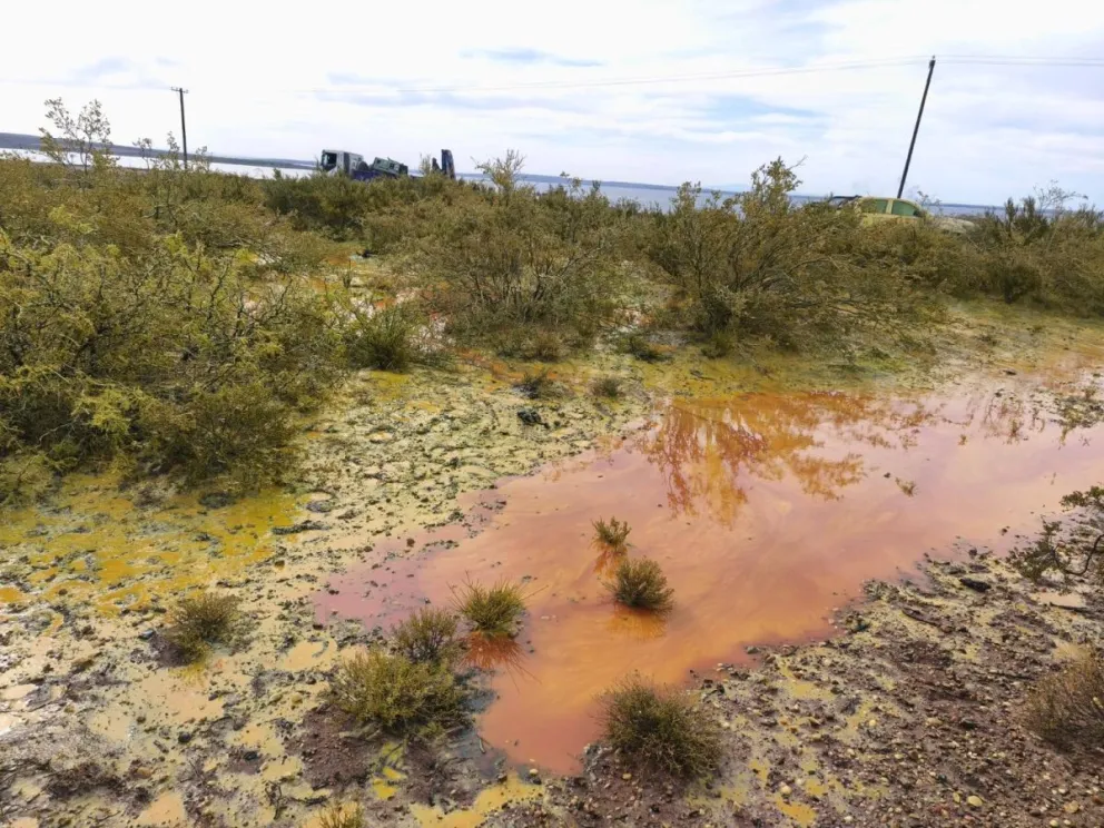 El Ministerio Público Fiscal ha descartado que se trate de un delito penal. Foto: Confederación Mapuche.