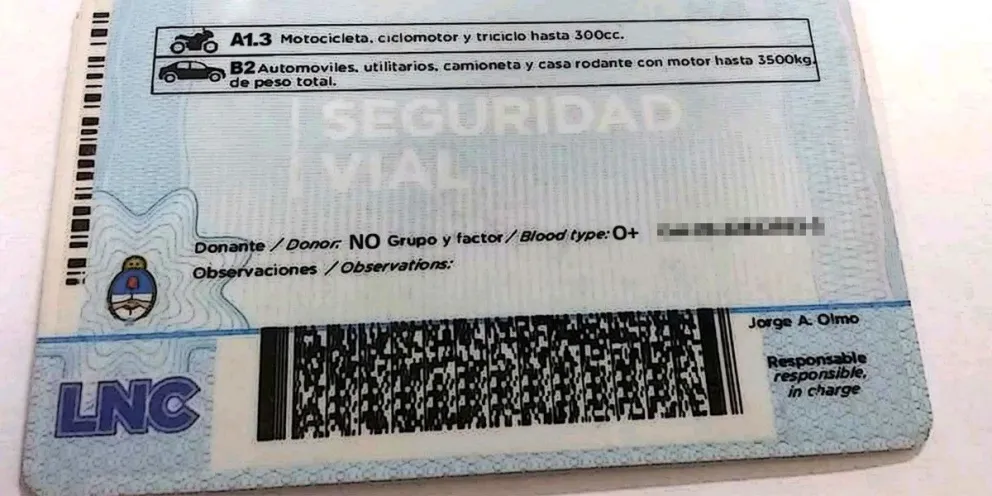 Mostró una licencia apócrifa presuntamente emitida por el municipio de Cipolletti. Foto: gentileza