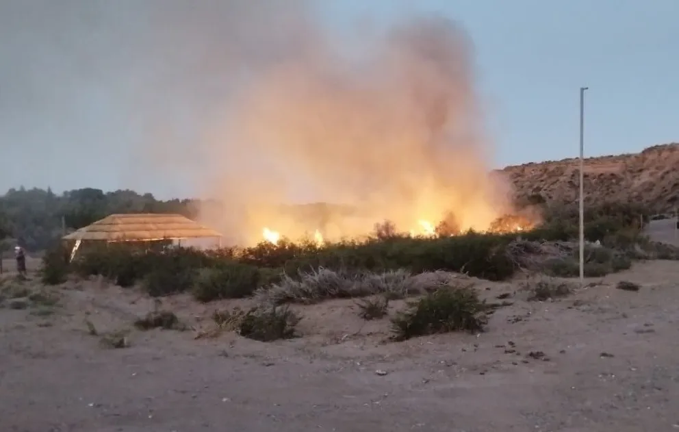 Las llamas destruyeron un quincho y una superficie de una hectárea de pastizales y vegetación autóctona. Foto: gentileza Bomberos Cipolletti.