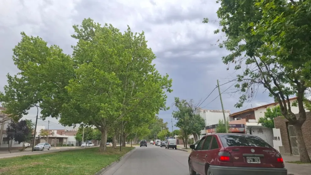 Ráfagas, calor y cambio de viento: el jueves anticipa un viernes más fresco en el Alto Valle. Foto Daniela Luján 