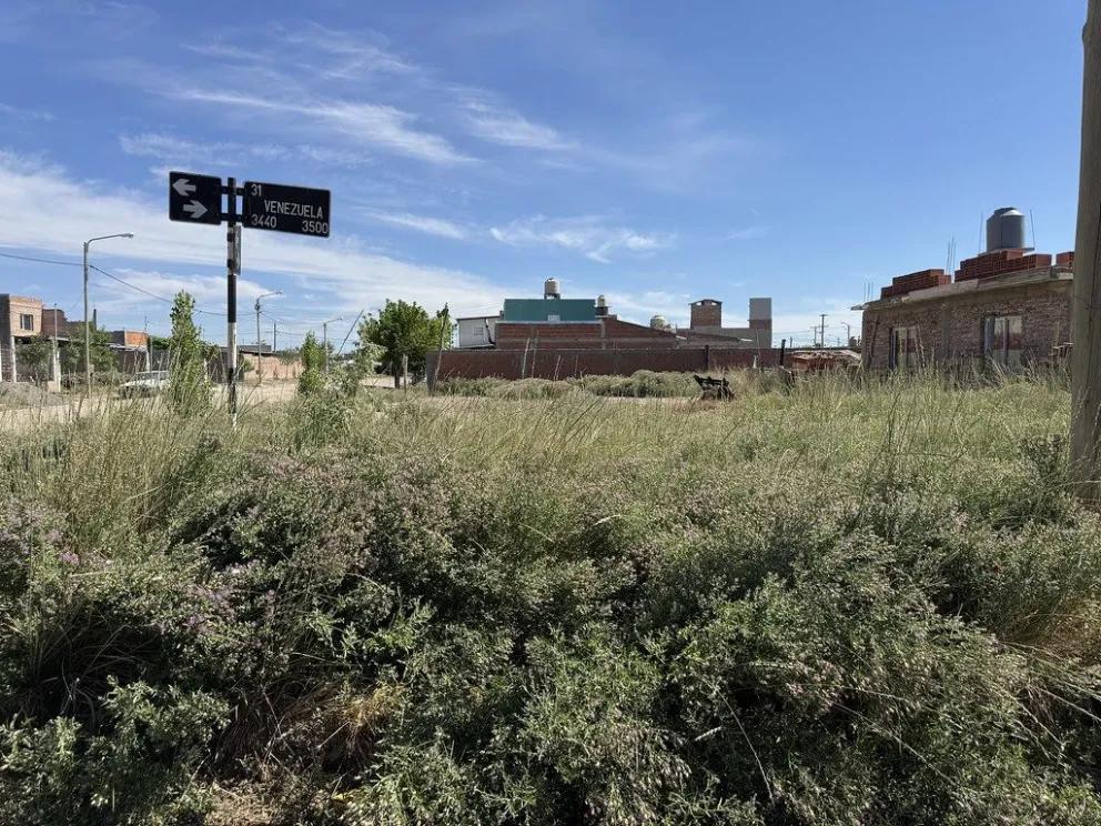 Se intervienen más de 300.000 metros cuadrados por mes. Foto: gentileza