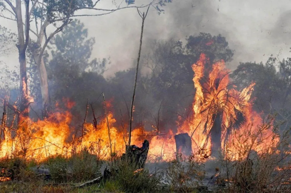Los incendios de pastizales están prohibidos por ley y son sancionados. Foto archivo 