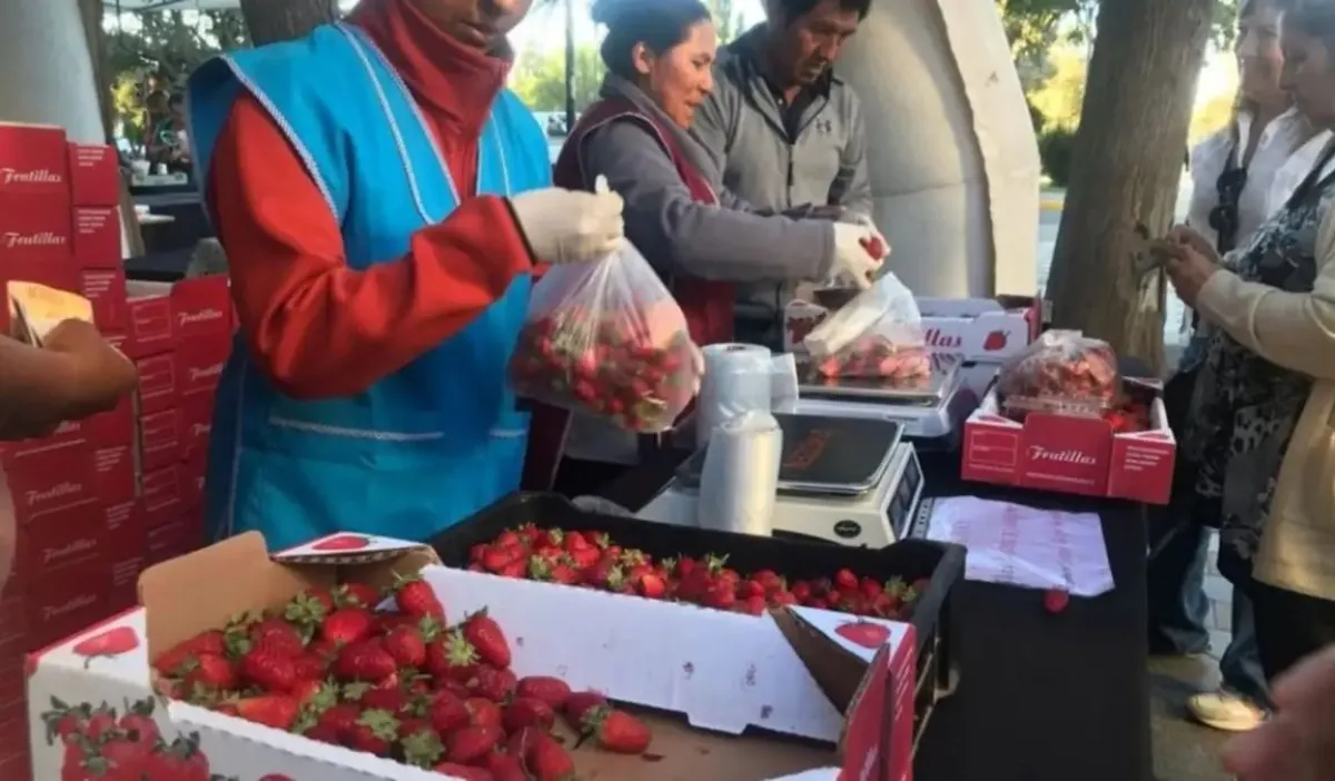 Feria de Frutillas en Neuquén: frutas frescas desde $3.500, los precios que no podés dejar pasar este jueves - Image 2