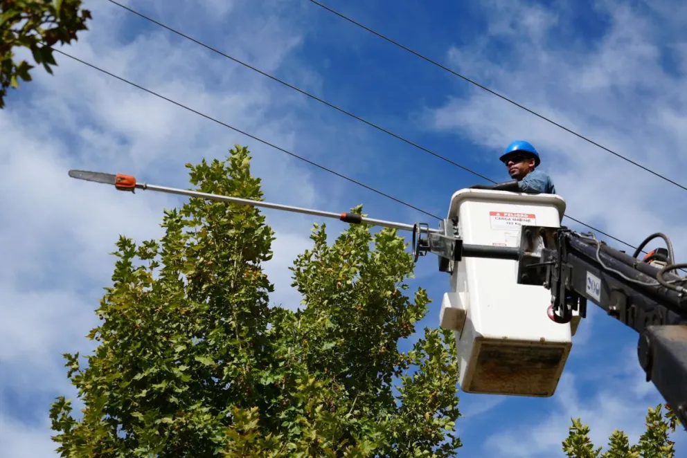 Actualmente, equipos técnicos recorren las áreas afectadas /foto gentileza