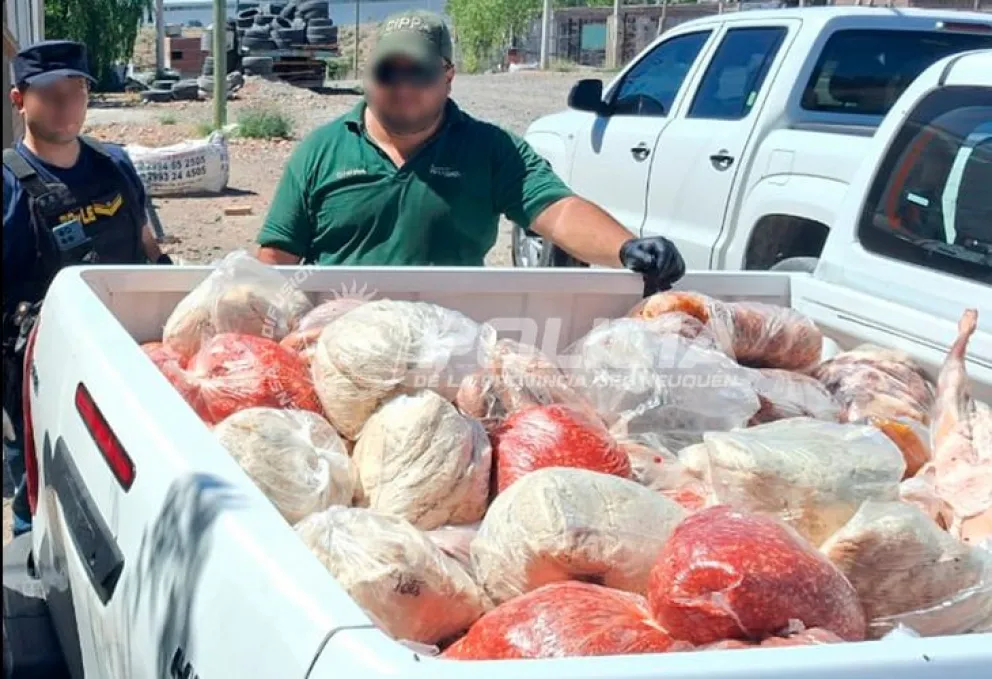 Durante el operativo se secuestró más de 500 kilos de carne que se guardaban sin cadena de frío y en malas condiciones higiénicas. Foto: Policía de Neuquén.