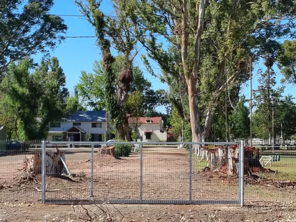 El cambio radical de la antigua entrada a la chacra de la familia González Larrosa. Foto: Cipo360.