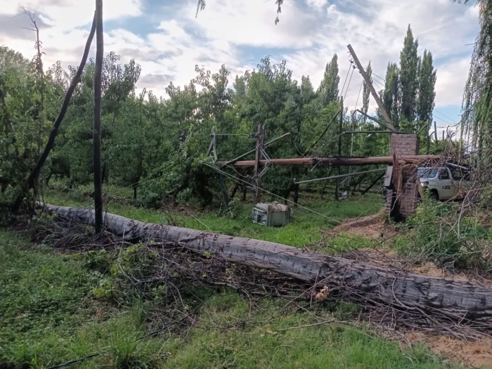 Tormenta: vientos fuertes y 13,5 mm de precipitaciones, afectaron al Alto Valle. Foto: Gentileza.