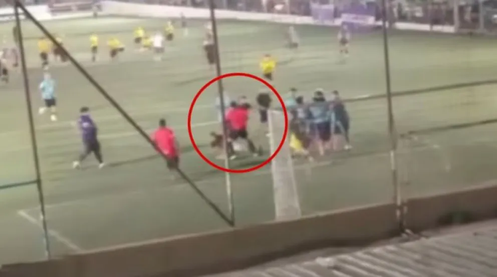 El momento del violento ataque. (Foto: captura de video radiosietenqn)