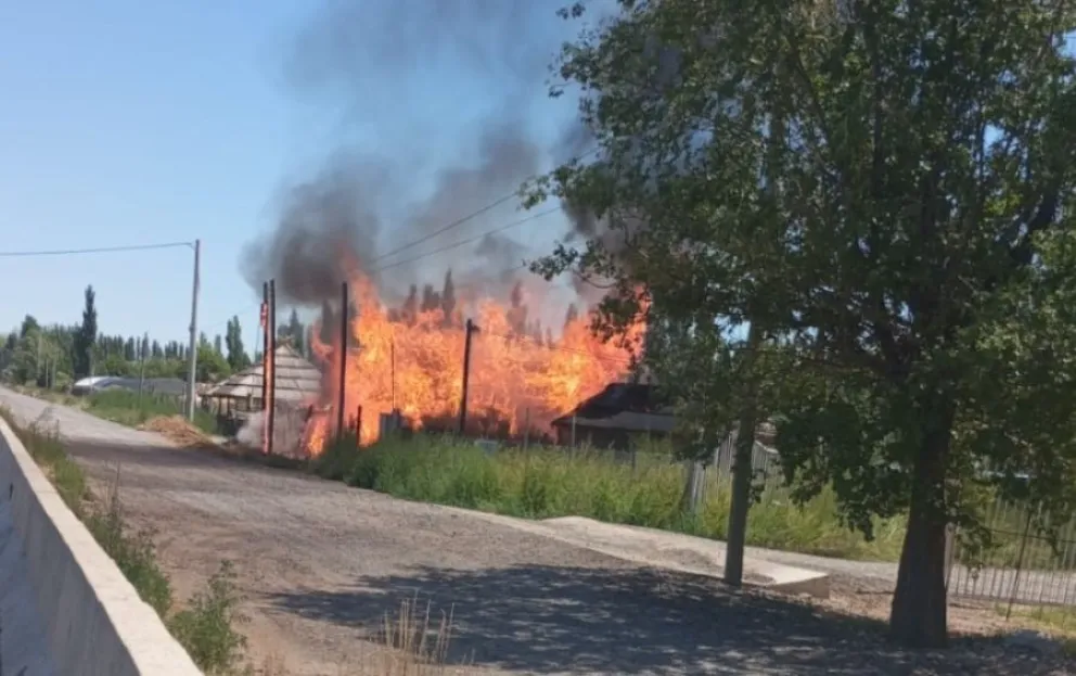 El incendio se originó cerca de las 13 horas en la empresa de venta de materiales para quinchos y sombrillas. Foto gentileza