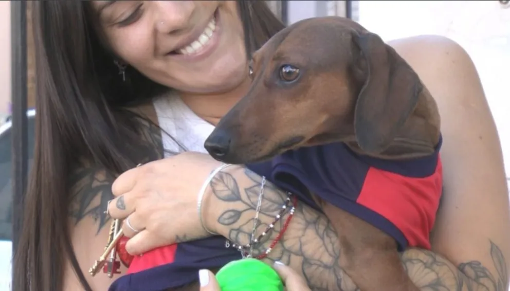 Ante las altas temperaturas lo recomendable es mojarle las patas, la panza y nunca mojarlos completamente. Foto Cipo360