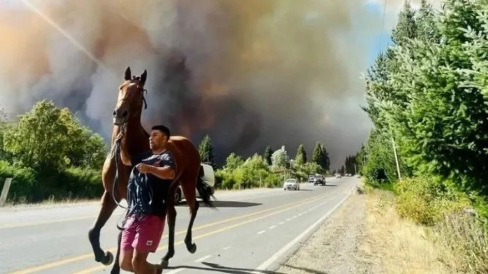 “Cuanto más logremos reunir, a más animales vamos a poder ayudar”. Foto gentileza