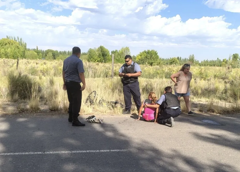 La orden judicial ya fue notificada a Zoonosis de Allen. Foto CIPO360